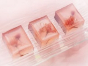 【未経験OK】即日～長期＜銀座デパ地下＞新感覚の和菓子販売◇時給1500～1550円＋交◇京都発！定番和菓子から現代アレンジしたものまで和菓子の新しい魅力が沢山◇20代.30代.40代.50代女性スタッフさん活躍中◇社保完備 / 週払いOK＜専用フォーム返信＆オンラインで簡単登録＞FD-T-tsuru②-d