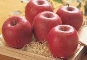 大人気の青葉台×1350円フルーツ販売！