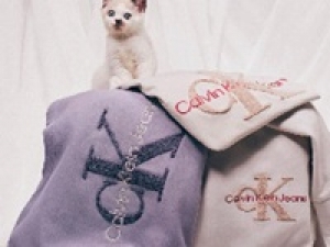 Calvin Klein / カルバンクラインで販売のお仕事＠木更津アウトレット◆即日～長期◆時給1500円以上(経験有)・交通費全額支給◆アパレル他アンダーウエア、フレグランスも人気！【週払いOK・車通勤OK・社保有給完備・アパレル未経験＆ブランク有、経験浅い方もOK・制服貸与】＜WEB/来社 選べる登録方法◆履歴書不要＞AP-g-CK