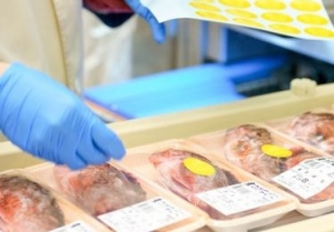 即日～長期＜8:00～17:00＞経験を活かして活躍！スーパーで鮮魚加工のお仕事◇東船橋駅スグ◇時給1600円＋交通費あり/月収例28万円/週払いOK◇週4～5日＊フルタイムしっかり働ける！20代～50代男女活躍中！＜専用フォーム返信＆オンラインで簡単登録＞OT-T-yma-sensui-higafuna