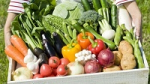 ＜即日～長期＞正社員前提！未経験歓迎！6ヶ月後には企業様の雇用に！農産物の直売所スタッフ＜道の駅 木更津うまくたの里＊上郡駅徒歩13分＞千葉県の特産品や新鮮な地元野菜が揃う道の駅！農産物の直売所で野菜の品出しやお客様対応などを担当◇時給1650円＋交通費・週払いOK◇週3～5日・6:30～16:00の間で実働8時間◇制服貸与あり◇20代～50代男女活躍中！＜専用フォーム返信＆オンラインで簡単登録＞OT-T-uma⓶